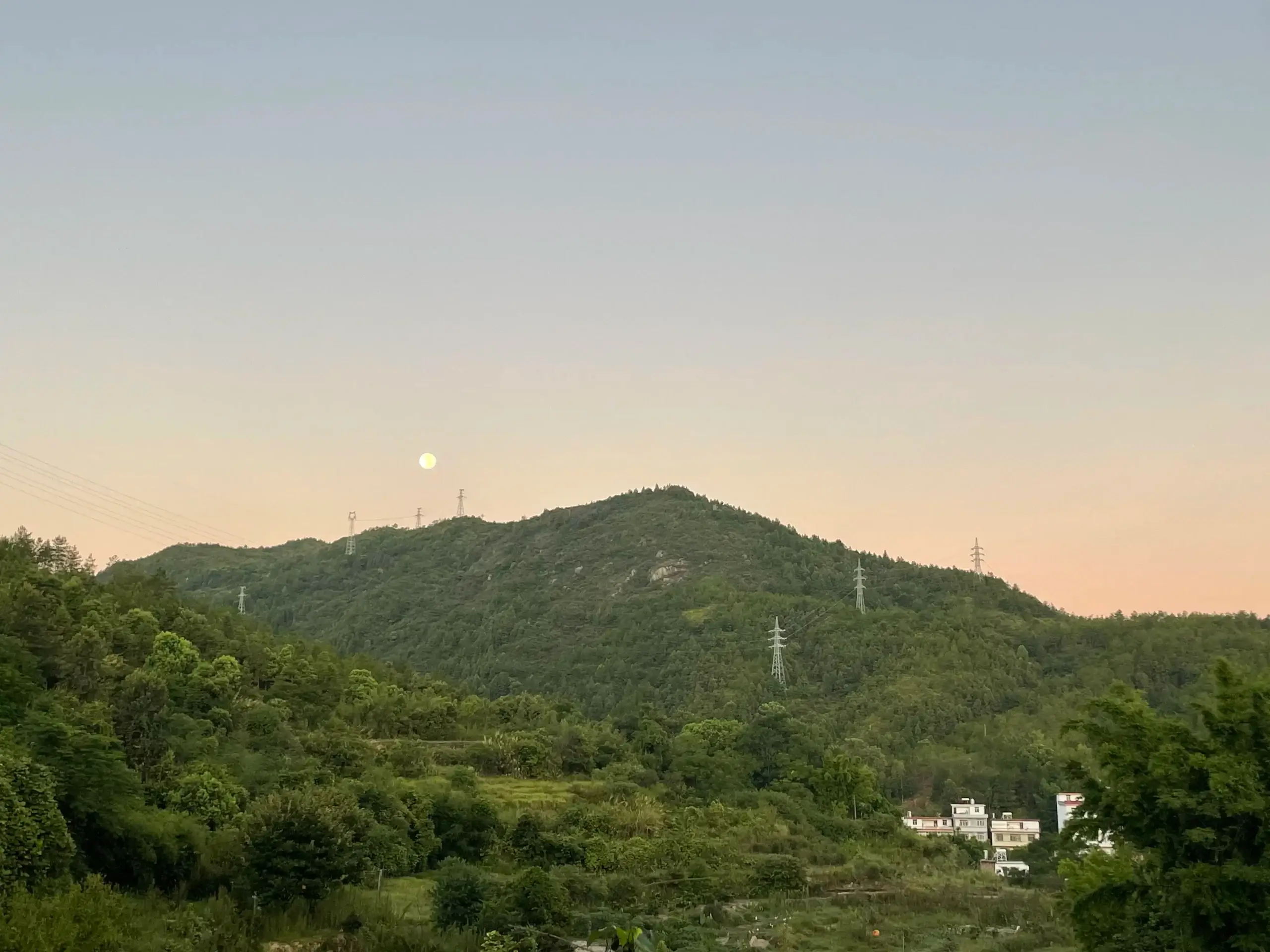 微信图片_20220815065539