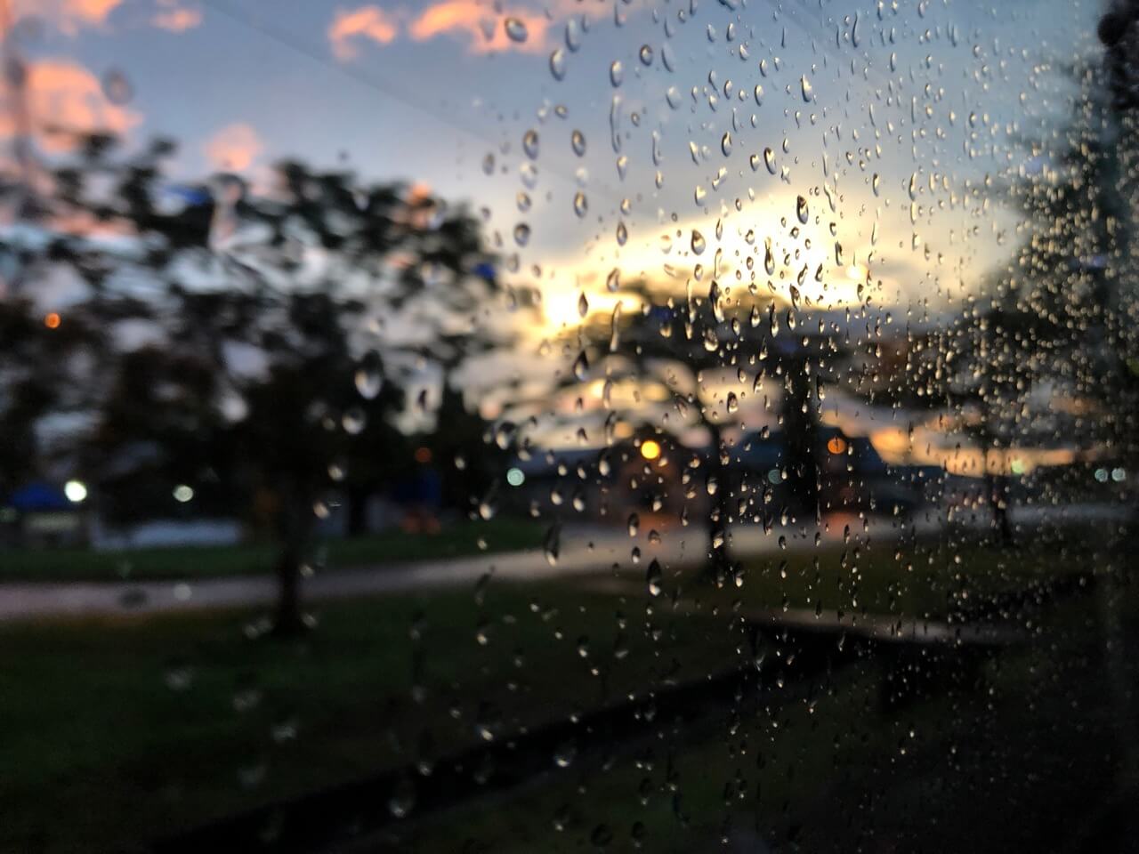 雨