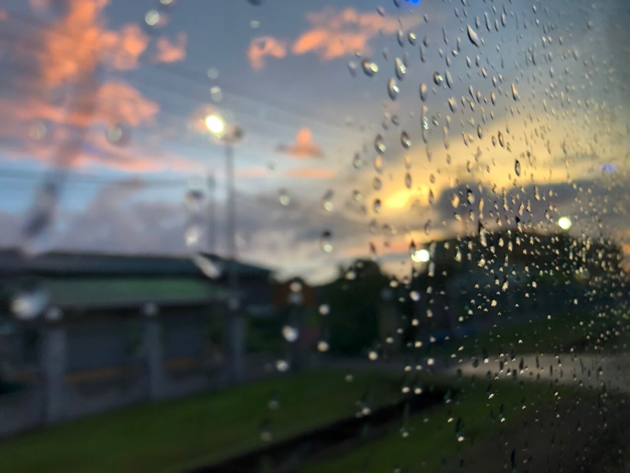 雨