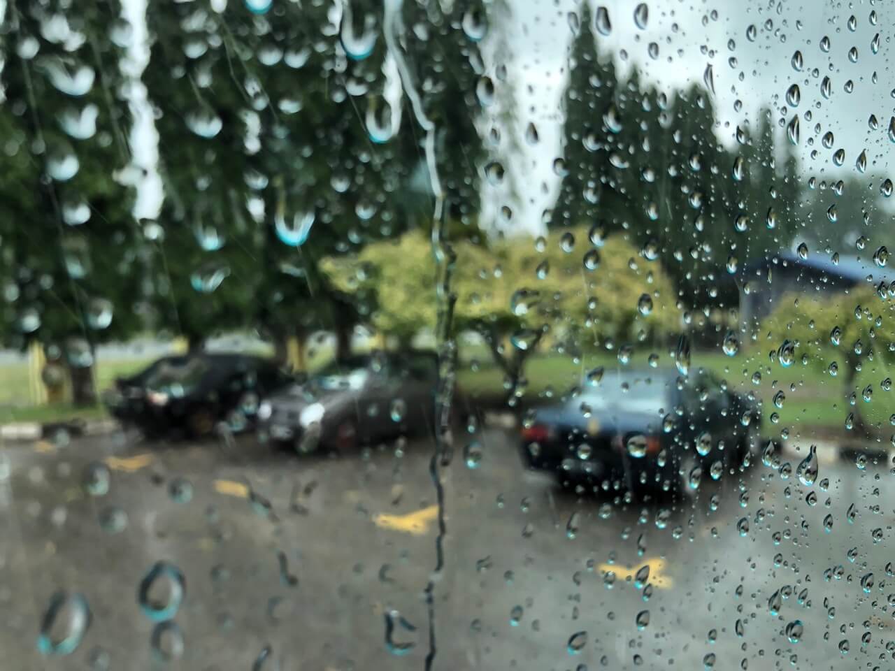 雨