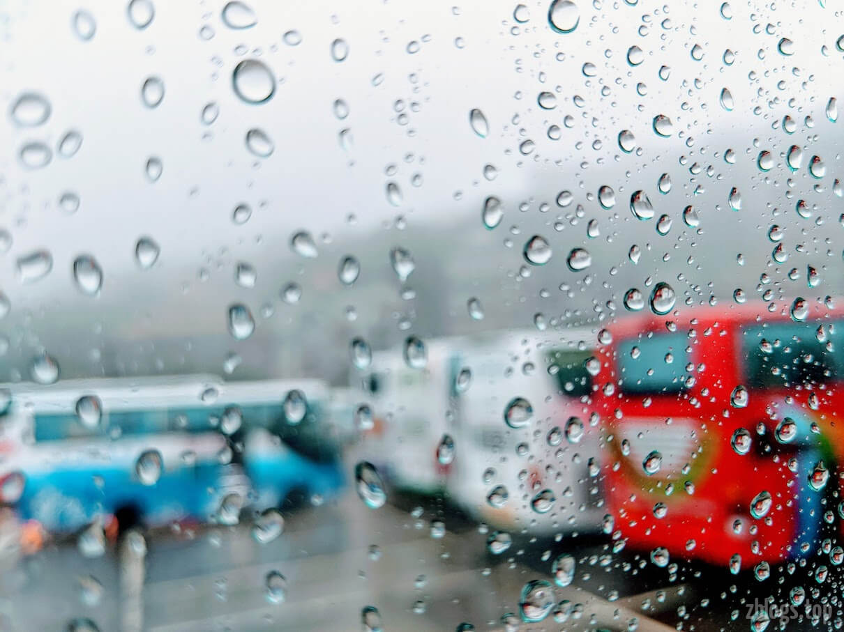 雨