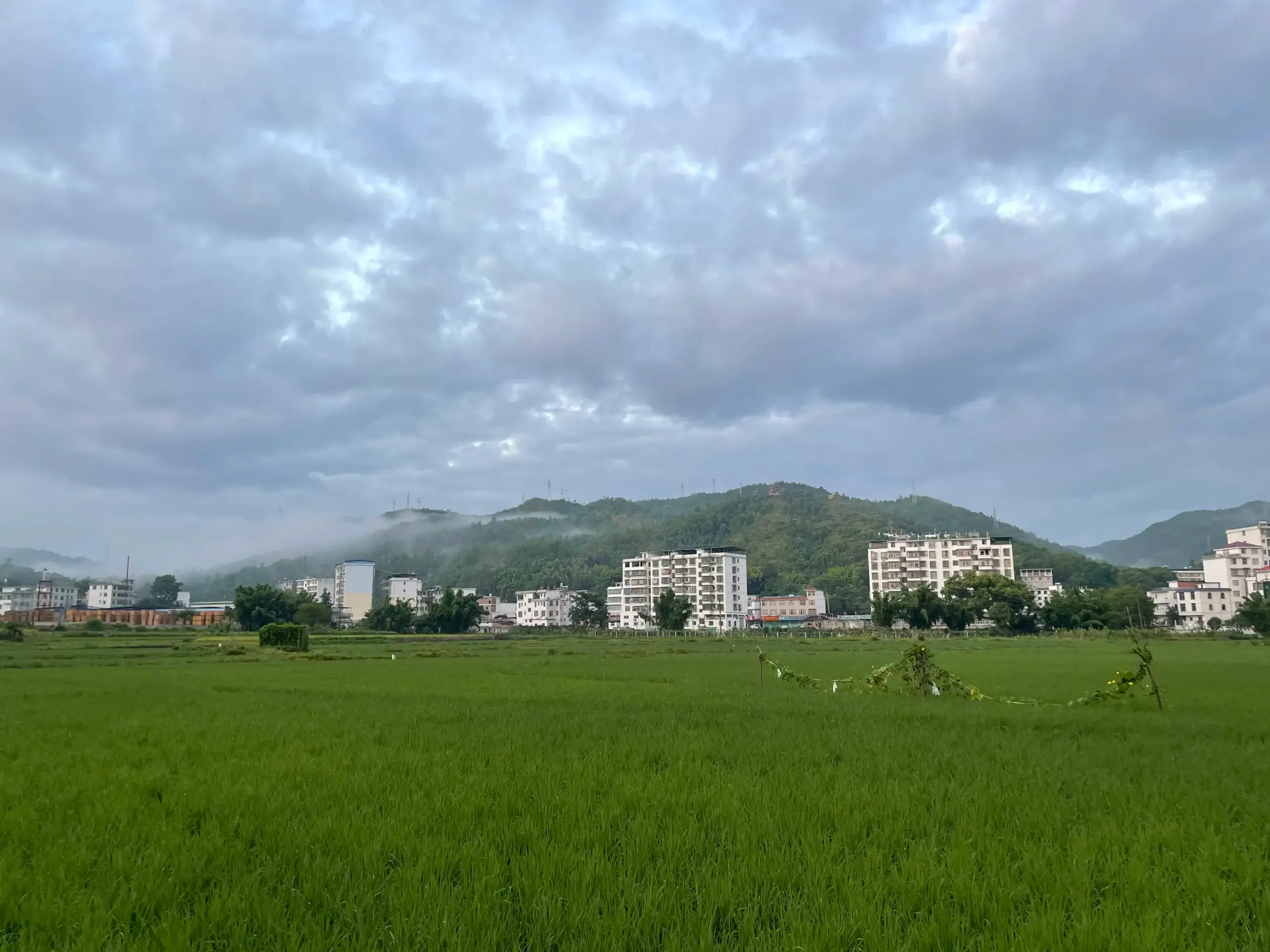 微信图片_20220815065251